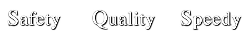 Safety Quality Speedy